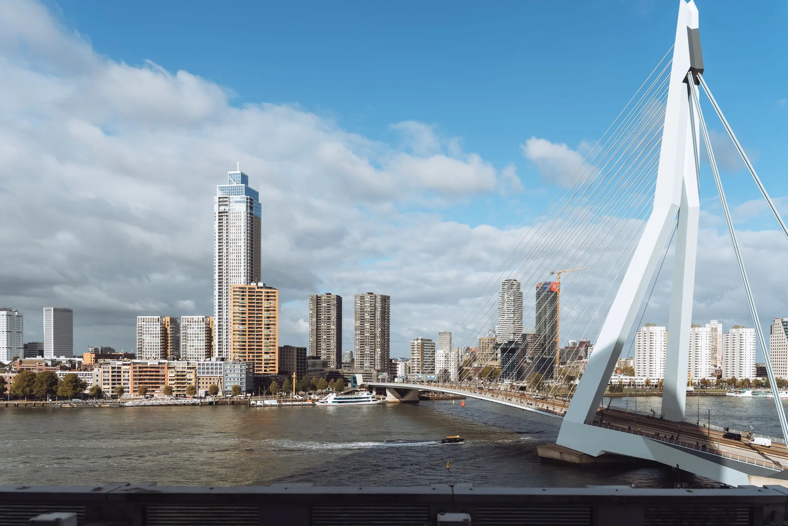 Rotterdam skyline with the Erasmus Bridge over the Maas