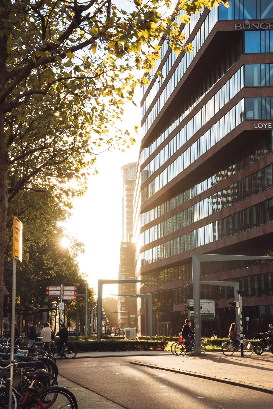 Cyclists on a sunlit Rotterdam street